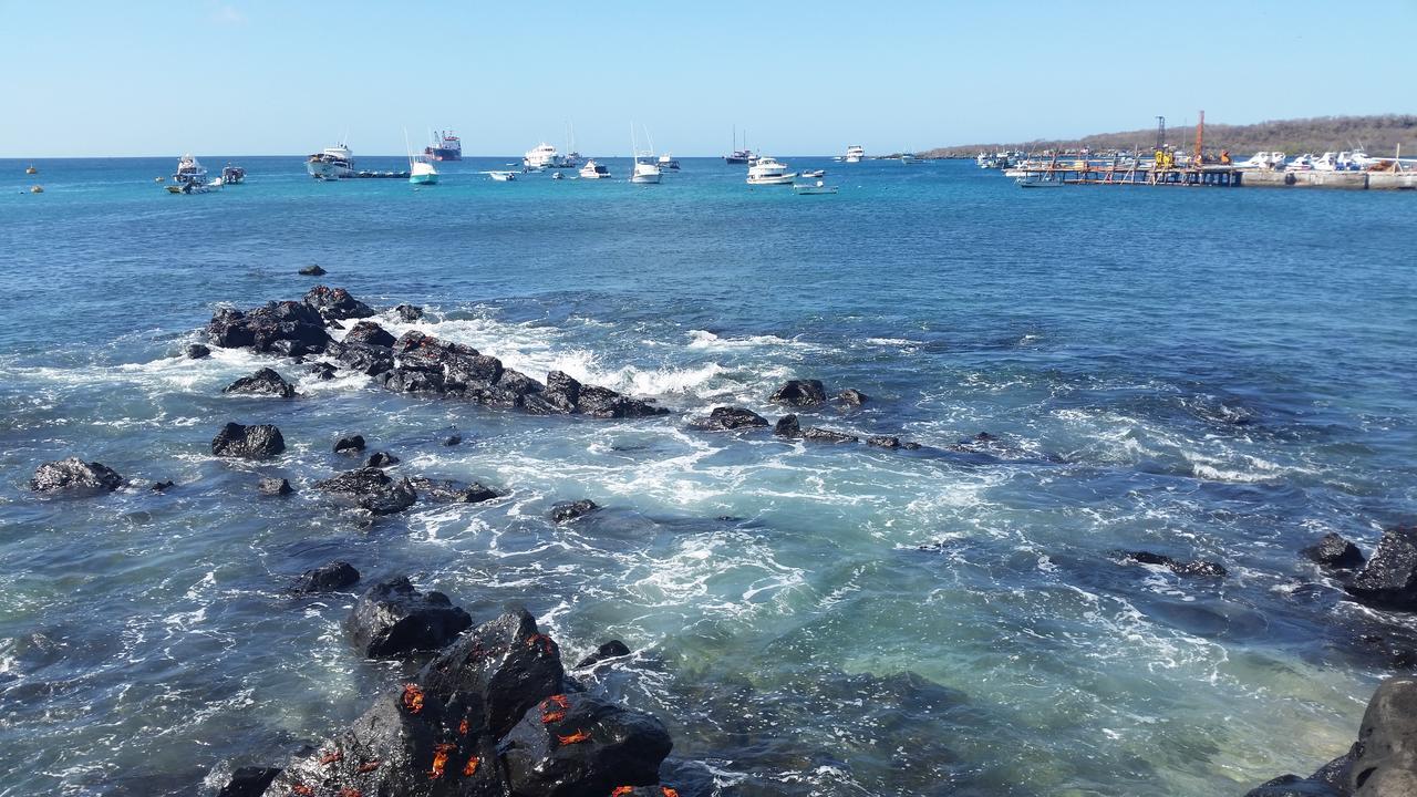 Hostal Romy Puerto Baquerizo Moreno Eksteriør billede