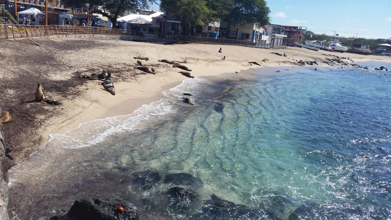 Hostal Romy Puerto Baquerizo Moreno Eksteriør billede